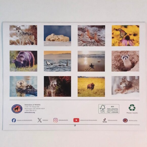 Lot of 3 Wildlife Calendars 2025 Audobon Society and Defenders of Wildlife - Picture 6 of 9